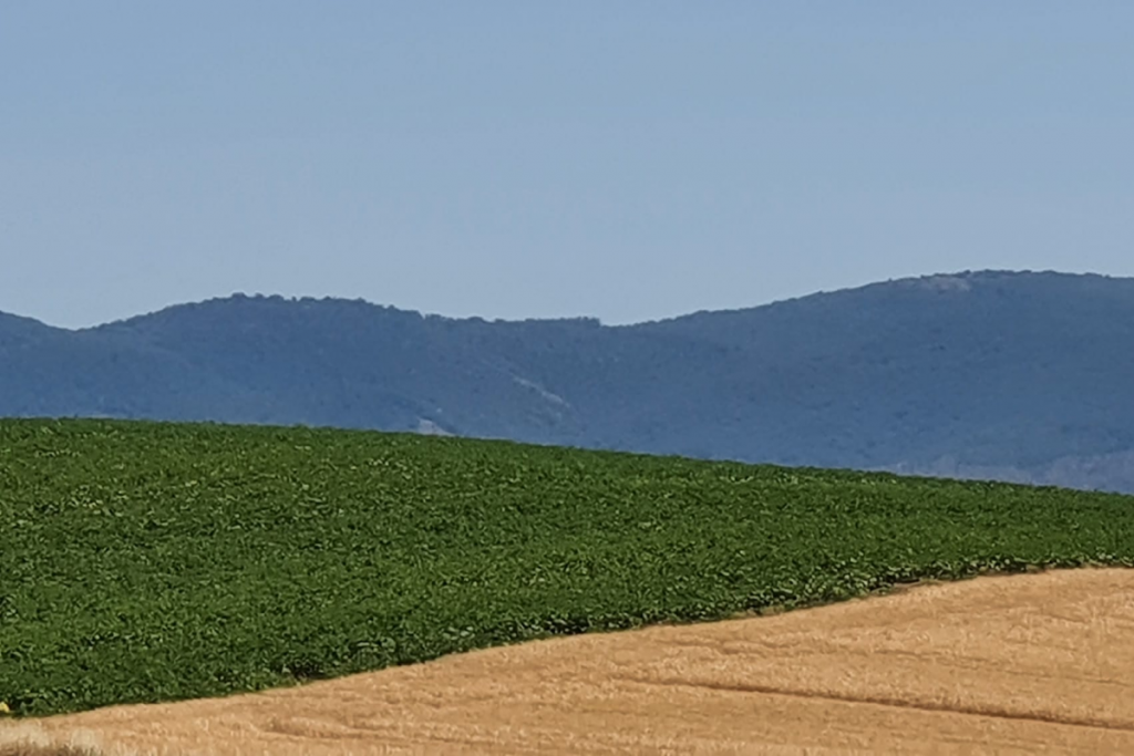 Economia Circolare e End of Waste