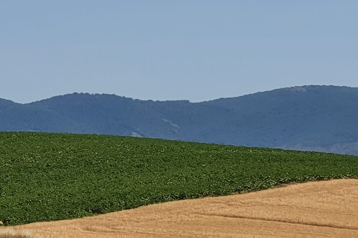 Economia Circolare e End of Waste