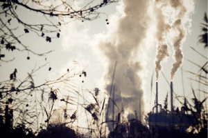 Environmental Access Rights